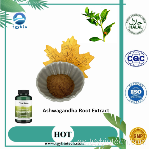 Extracto de raíz de Ashwagandha orgánico con Anólidos 1%-5%